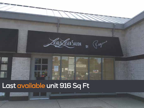 View King Street Cats Donations Photos